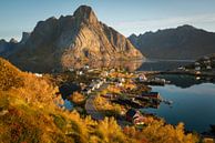 Herbst auf den Lofoten von Edwin Mooijaart Miniaturansicht