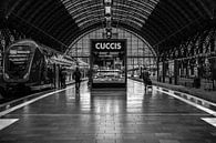 Op reis in Frankfurt station van Werner Lerooy thumbnail