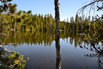 Reflections
