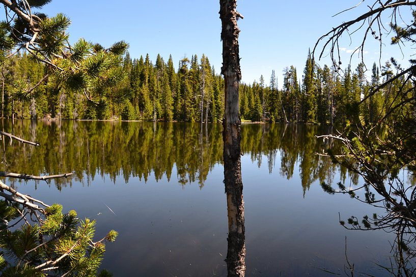 Reflections van Wessel Smit