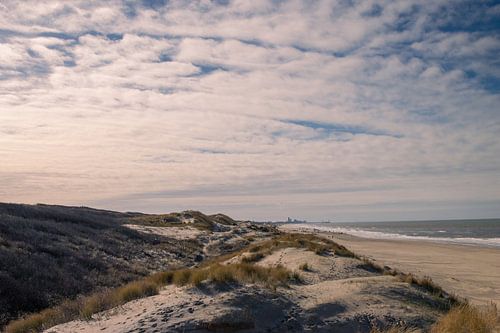 Où les dunes et la mer se rencontrent