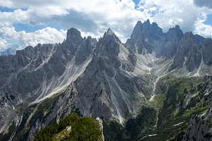Misurina-Käfer