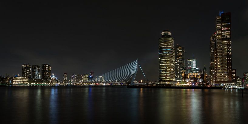 Rotterdam Panorama von Albert Mendelewski