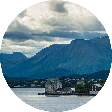 View to the city Alesund in Norway van Rico Ködder