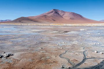 Wüste von Alex Neumayer