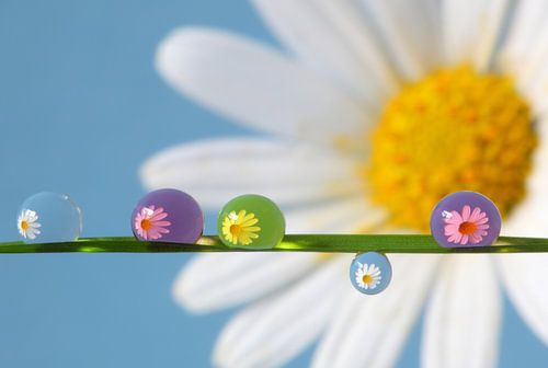 Colorful Water Drops