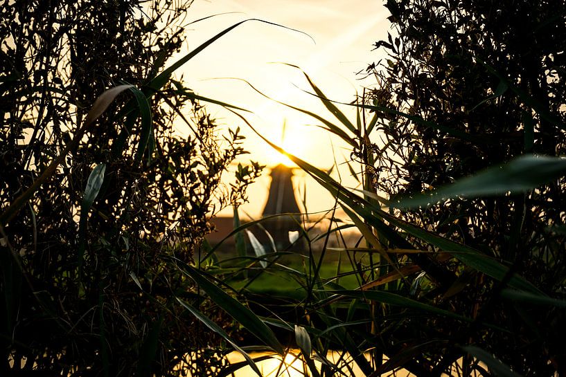 Verborgen windmolen by K.C. Statia