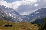 Gletscher in den Schweizer Alpen von Sander de Jong Miniaturansicht