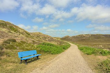 Sylt blue bench in the dunes by Michael Valjak