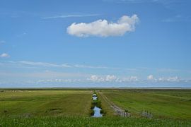 ein Sommertag inmitten der friesischen Landschaft von Double u photography