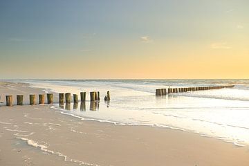 Palenrij Hollum van Rinnie Wijnstra (FotoAmeland )