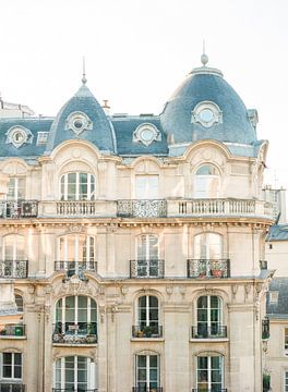 Häuser in Paris, analoges Foto von Alexandra Vonk