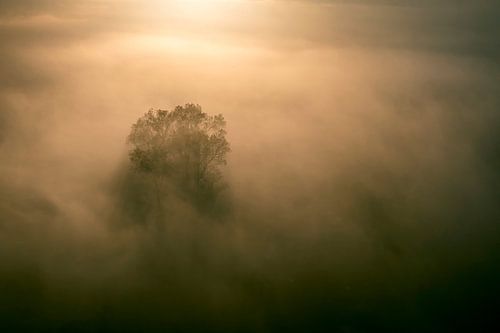 Mistig bos tijdens zonsopkomst vanaf boven gezien