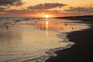 Zonsopgang op Ameland