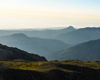 Corsica