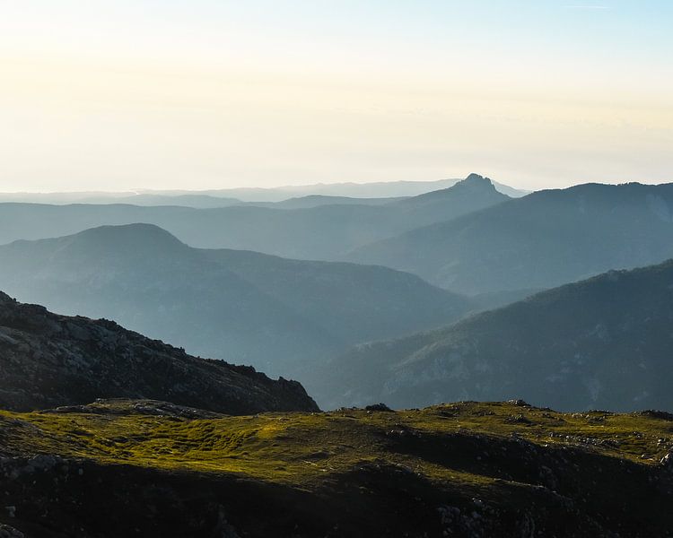 Corse par Jonathan Verhoeven