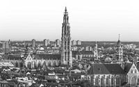 Die Liebfrauenkathedrale in Antwerpen von MS Fotografie | Marc van der Stelt Miniaturansicht