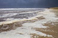 Algen bedekt strand bij storm van Menno van Duijn thumbnail