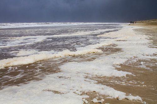 Algen bedekt strand bij storm