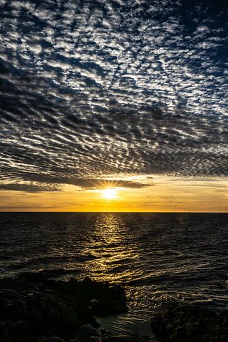De gouden horizon