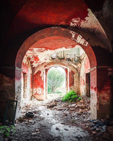 Verlassener Eingang zur Roten Burg. von Roman Robroek