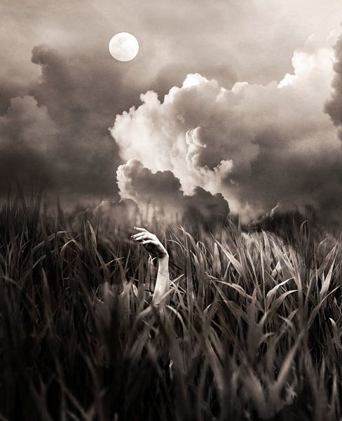 Vollmond von Jacky