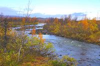 Natural landscape in Swedish Lapland