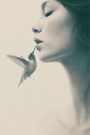 A Kiss, Borrowed from Air van PixelMint.