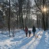 Wandelen in het besneeuwde bos van Moetwil en van Dijk - Fotografie