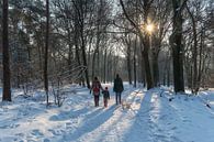 Wandelen in het besneeuwde bos van Moetwil en van Dijk - Fotografie thumbnail