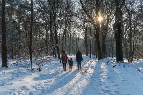 Wandelen in het besneeuwde bos