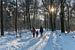 Spaziergang durch den verschneiten Wald von Moetwil en van Dijk - Fotografie