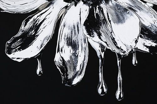 Zwart-wit bloem met druppels