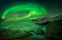 Aurora over Ersfjord and Tugeneset rocky coast with mountains in background, Norway by Wojciech Kruczynski thumbnail