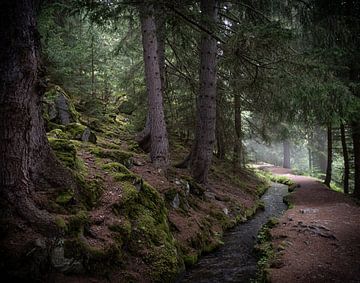 Bisse Vieux, Zwitserland van Ingrid Aanen