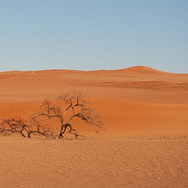 Lonely Tree by Miranda Zwijgers