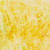 Rêve de fleurs sauvages, abstrait moderne dans des couleurs jaune beurre sur FRESH Fine Art