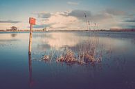 Hoog water in de uiterwaarden van de rivier de IJssel van Fotografiecor .nl thumbnail