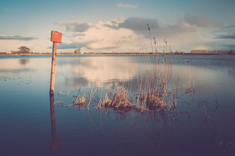 Hoog water in de uiterwaarden van de rivier de IJssel van Fotografiecor .nl