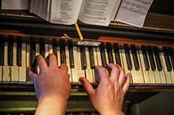 Orgelspeler von Wybrich Warns Miniaturansicht