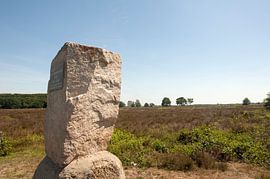 Eder / Ginkelse Heide by Richard Wareham
