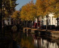 Herfstkleuren gracht Amersfoort