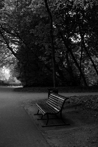 Banc de parc romantique, noir et blanc