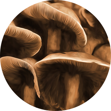 Paddenstoelen in sepia van Yvonne Blokland