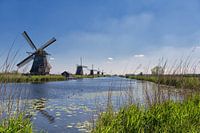 De molens van Kinderdijk
