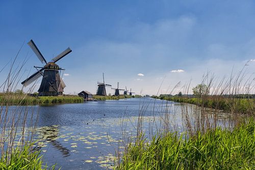 The windmills of Kinderdijk