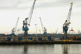 Havenkranen by Carlinde Photos and More