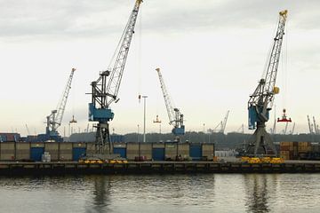 Havenkranen by Carlinde Photos and More