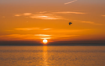 Les couchers de soleil nous montrent à quel point nous sommes abondants.