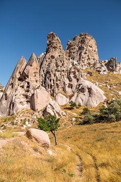 Goreme Cappadocië van Luis Emilio Villegas Amador